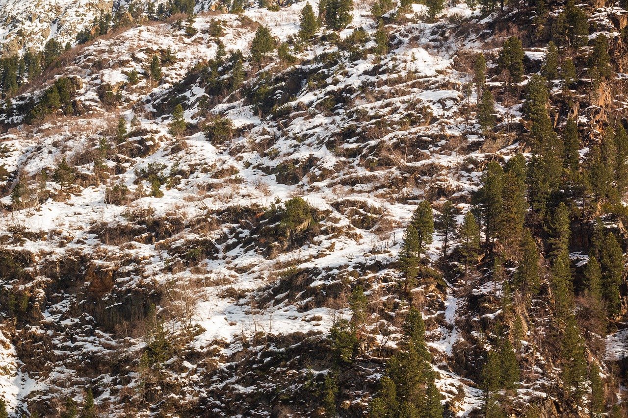 The Most Scenic Hikes in the Canadian Rockies